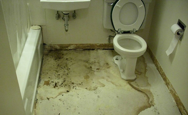 Sàn nhà vệ sinh bị thấm dột